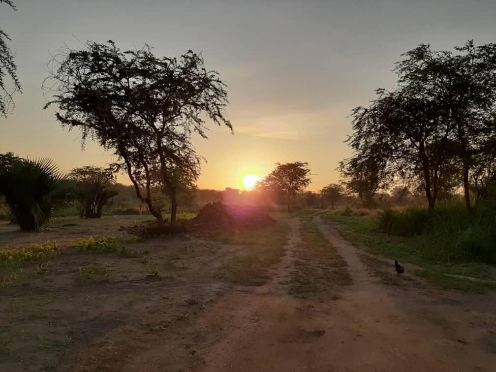 Tangi Safari Lodge Pakwach Exteriér fotografie